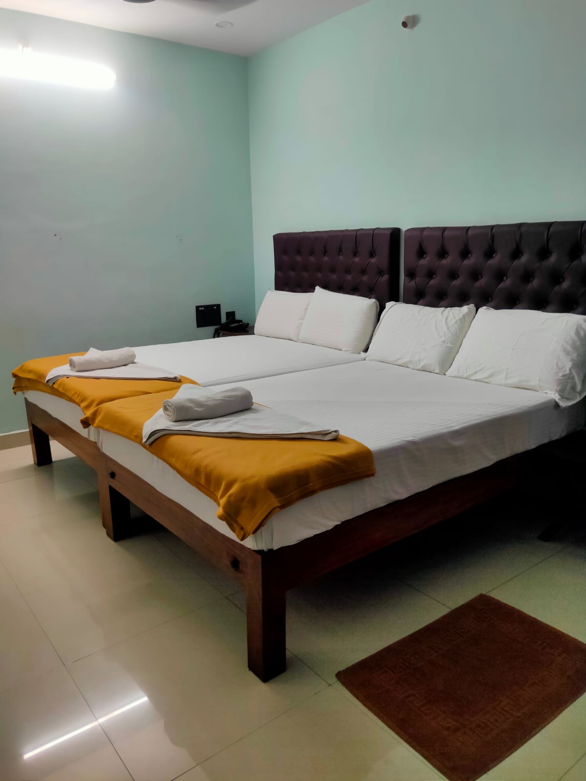 Bougainvilleas on Lombard Street,  San Francisco, Tokyo